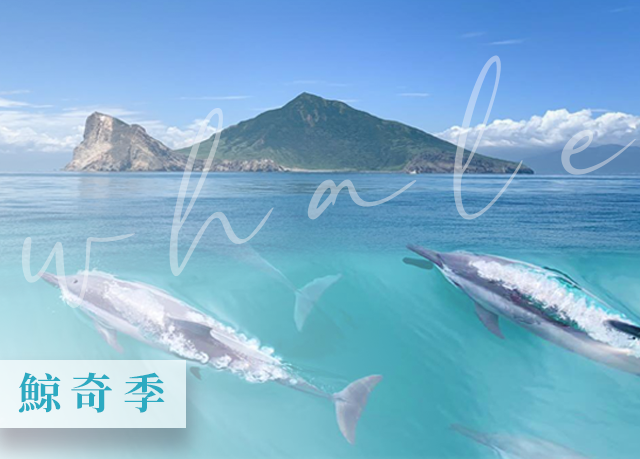 2026 鯨奇季x 享受海上冒險幸福